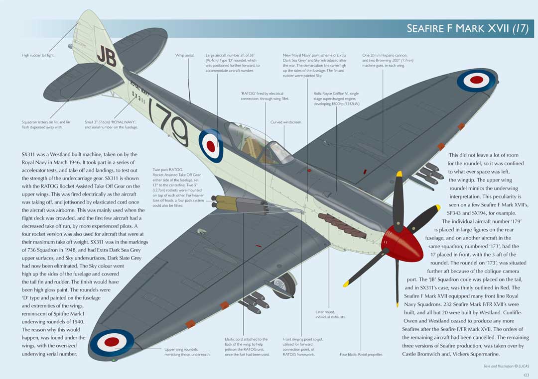 Seafire-Mark-VII