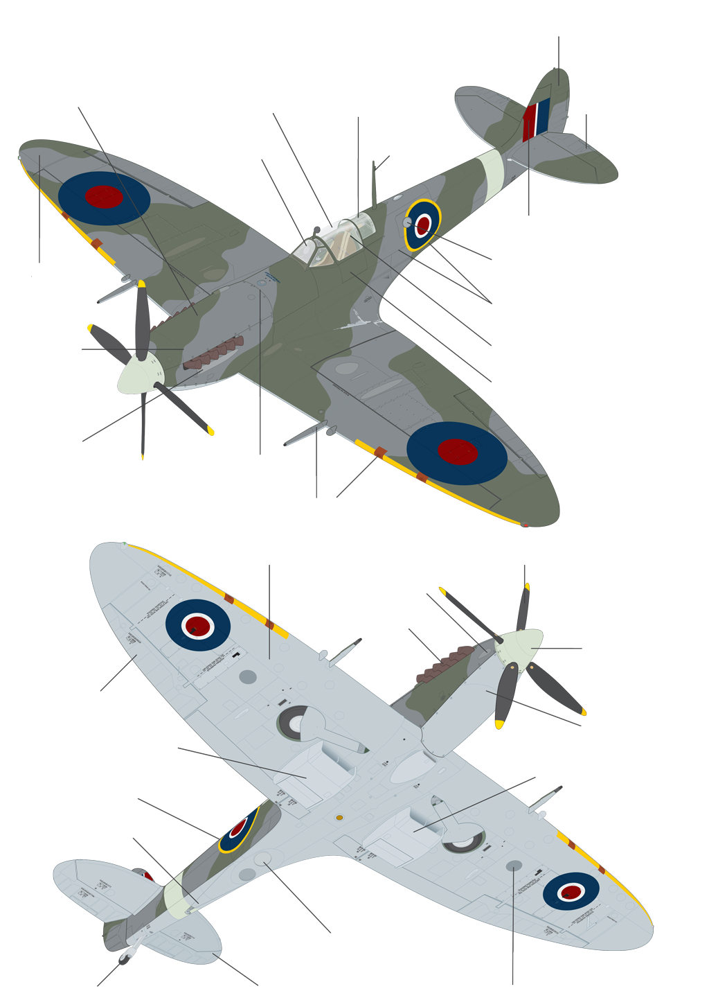 spitfire top and underside